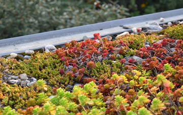 the cost of Belcoo green roof installation