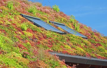 Belcoo living roof systems